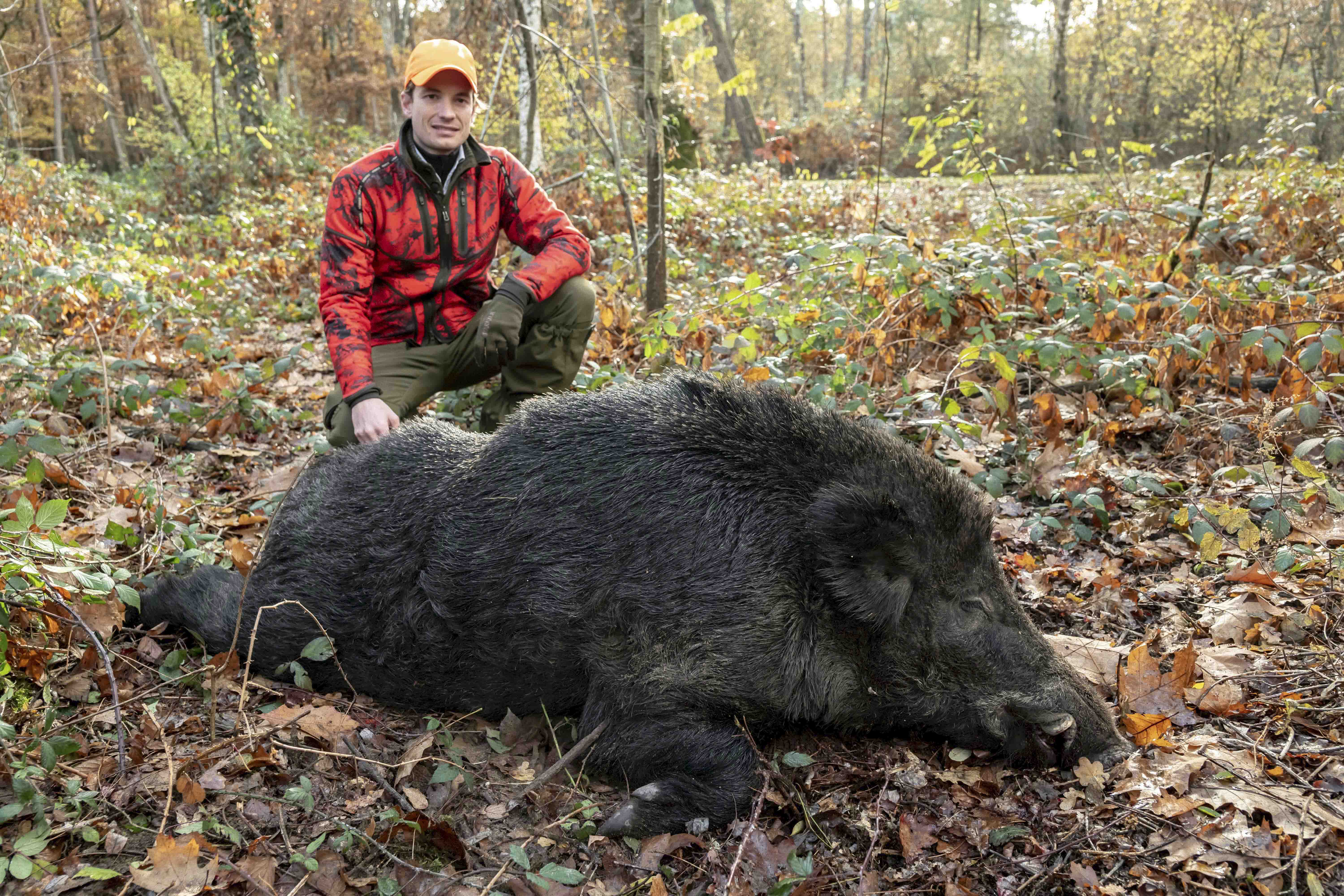 The Wild Boar Season is finally here!