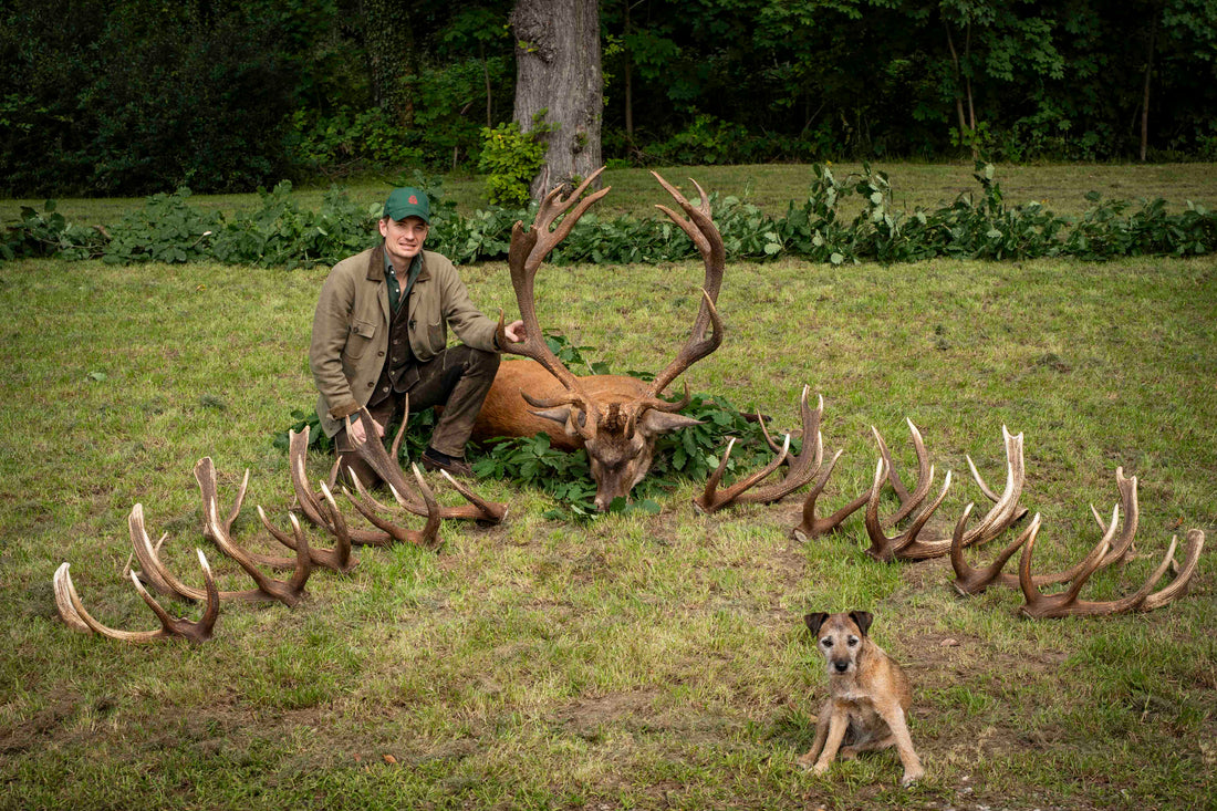 My 2025 red stag rut